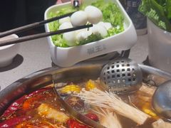 -菌自在·云南野生菌火锅(长安万达店)