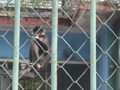 -秦皇岛野生动物园