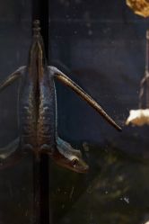 -Zoolung Zoolung动物主题公园(海信广场店)