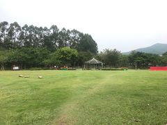 -火炉山森林公园