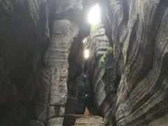 -梭布垭石林景区