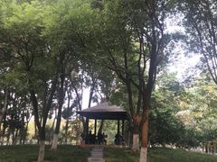 -后襄河公园