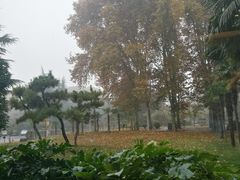 -河南省黄河迎宾馆