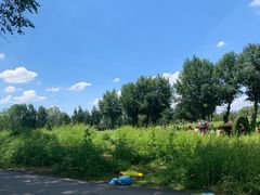 -长白岛森林公园