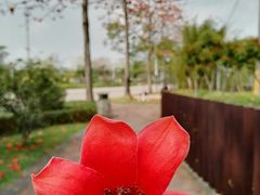 -王借岗森林公园
