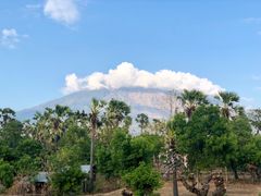 -飞鱼&摩娜潜水度假村