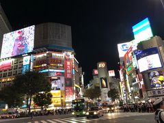 -涩谷区