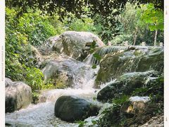 -新虹桥中心花园