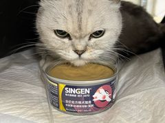 -宠颐生中康贝怡动物医院