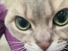 -暖阳宠物医院·犬猫康复中心·骨科