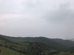 -大姆山草场