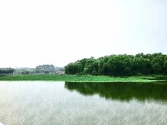 -大兴滨河森林公园