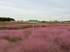 -江苏三台山国家森林公园