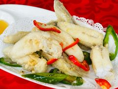 -蛇口康乐快餐鱼仔档(翠苑小区店)