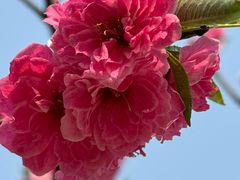 -白水寺森林公园