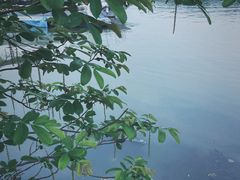 -东湖听涛景区