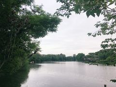 -台儿庄古城