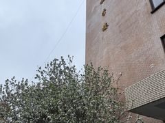 -复旦大学本部-食堂