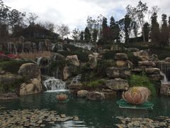 -秀丽东方