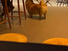 -Jeans Coffee牛仔裤咖啡