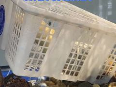 -轩记海鲜餐厅·四十五年老字号·经典粤菜(西区彩虹店)