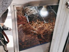 -清真·金宏兴鸭子店(明瓦廊店)