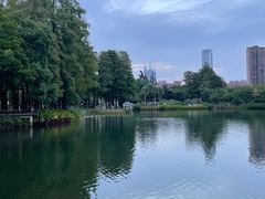 -四海公园(南山区)