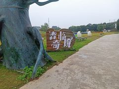 -秀丽东方