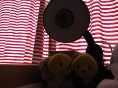 我把BB带来了-哈尔滨北方国际青年旅舍(中央大街店)