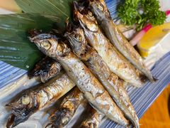 -三月居酒屋(青年大街店)