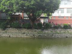 -晓港公园