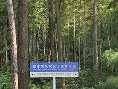 -瑶琳仙境