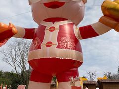 -成都松鼠部落