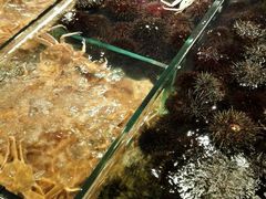 android_upload_pic-马路边上·小海鲜烧烤(八一路店)