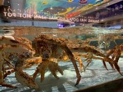 水产区-尚海豆捞(乐虹坊店)