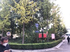-迎泽公园