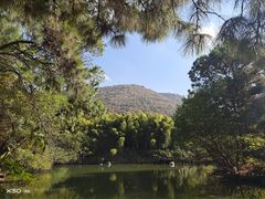 -宝岩生态观光园