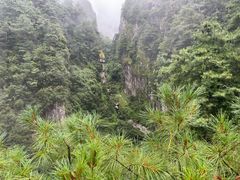 -苍山感通索道