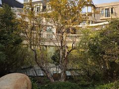 -叶叶菩提(太原别墅店)