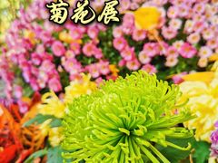 -汇龙潭