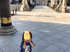 -成田山新胜寺