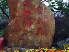 -天适樱花悠乐园