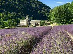 -塞南克修道院