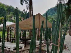 -MOJ coffee(瓯海泽雅水碓坑店)