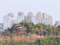 -重庆园博园