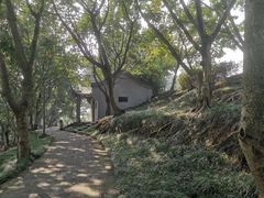 -艾坪山公园