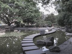 -神仙树公园