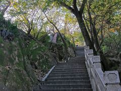 -灵岩山风景区