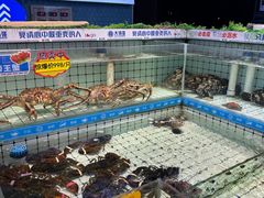 -大锅强·蒸海鲜青岛菜(金沙滩店)