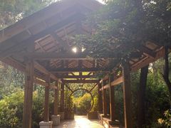 -铁山坪森林公园